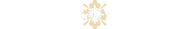 homestyling_transparent_logo homestyling_transparent_logo